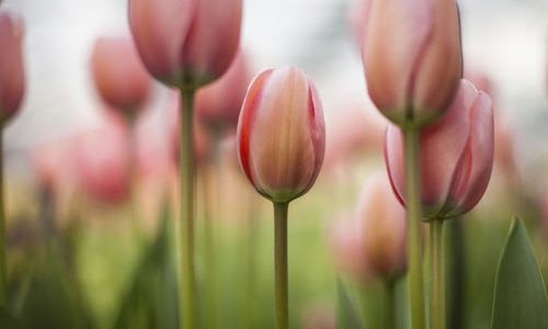 如何利用信息技术节约数学教学时间_学习
