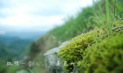 怎样提高中考数学成绩_学习