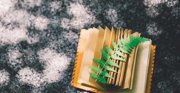 儿童怎么学习英语_学习