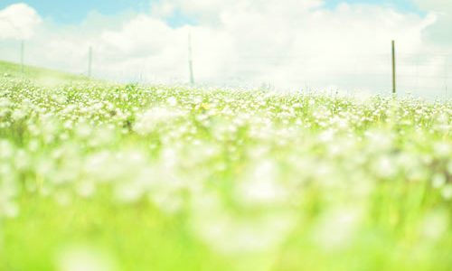 如何在数学教学中合作_学习