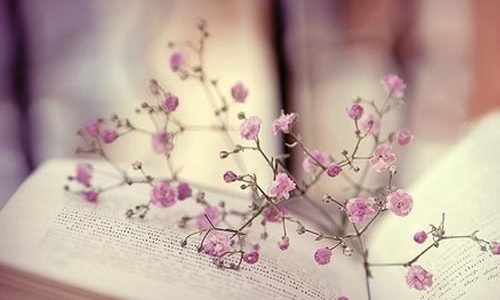 怎么教二年级小朋友学数学_学习
