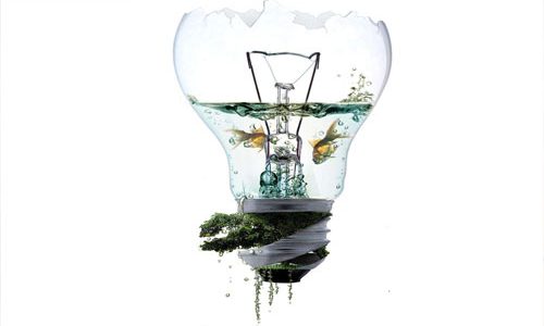 怎样引导孩子学英语_学习