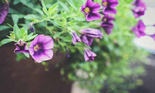 如何在数学教学中落实课标_学习