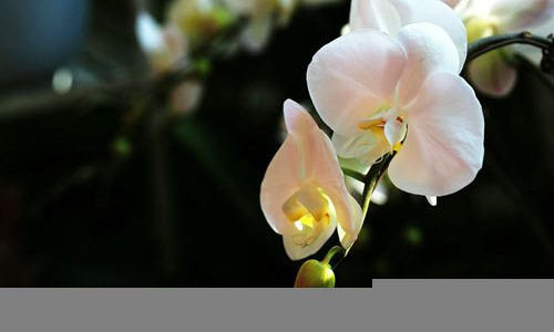 多媒体如何辅助数学教学_学习