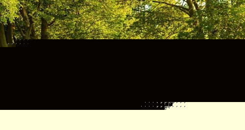 如何培养小学数学教学计算能力_学习