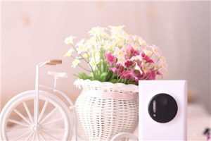 hitalk在线英语怎么样，和沪江英语是什么关系？
