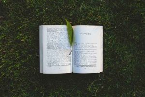 上海一对一外教成人在线英语哪家好，阿卡索外教网好不好？