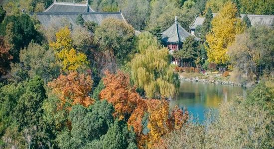 北京大学十二幅校园美景 你认识几个？