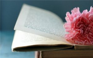 浅谈瑞思学科英语、迪士尼英语、泡泡少儿英语和芝麻街英语哪个好？