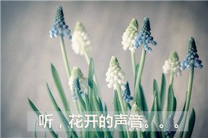【英语网校哪个好】学习效果好不好，收费贵吗？